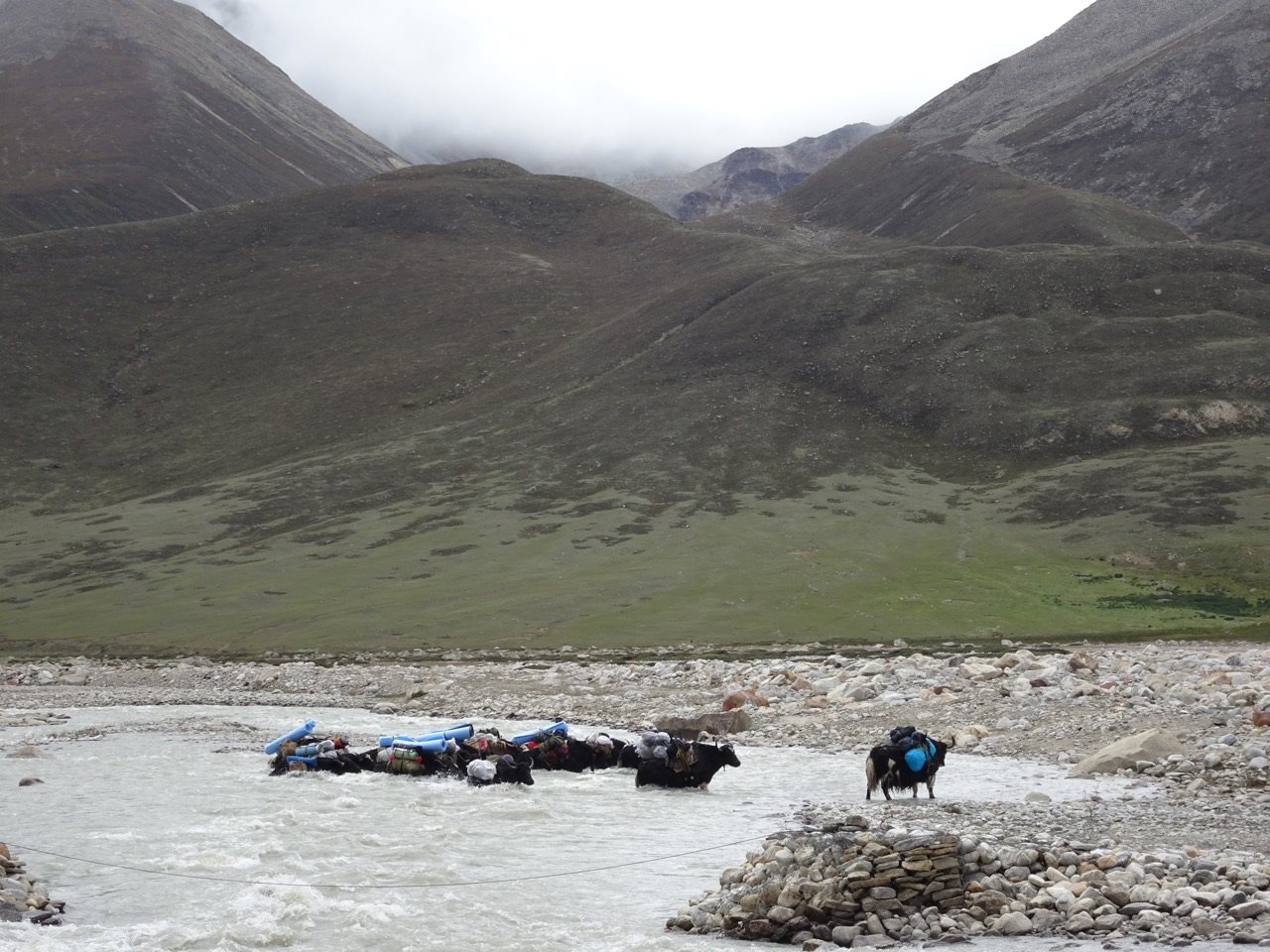 Thereafter it’s a 4 days trek to the base camp for Lhonak lake… crossing several streams and passes higher than 17,000 feet.